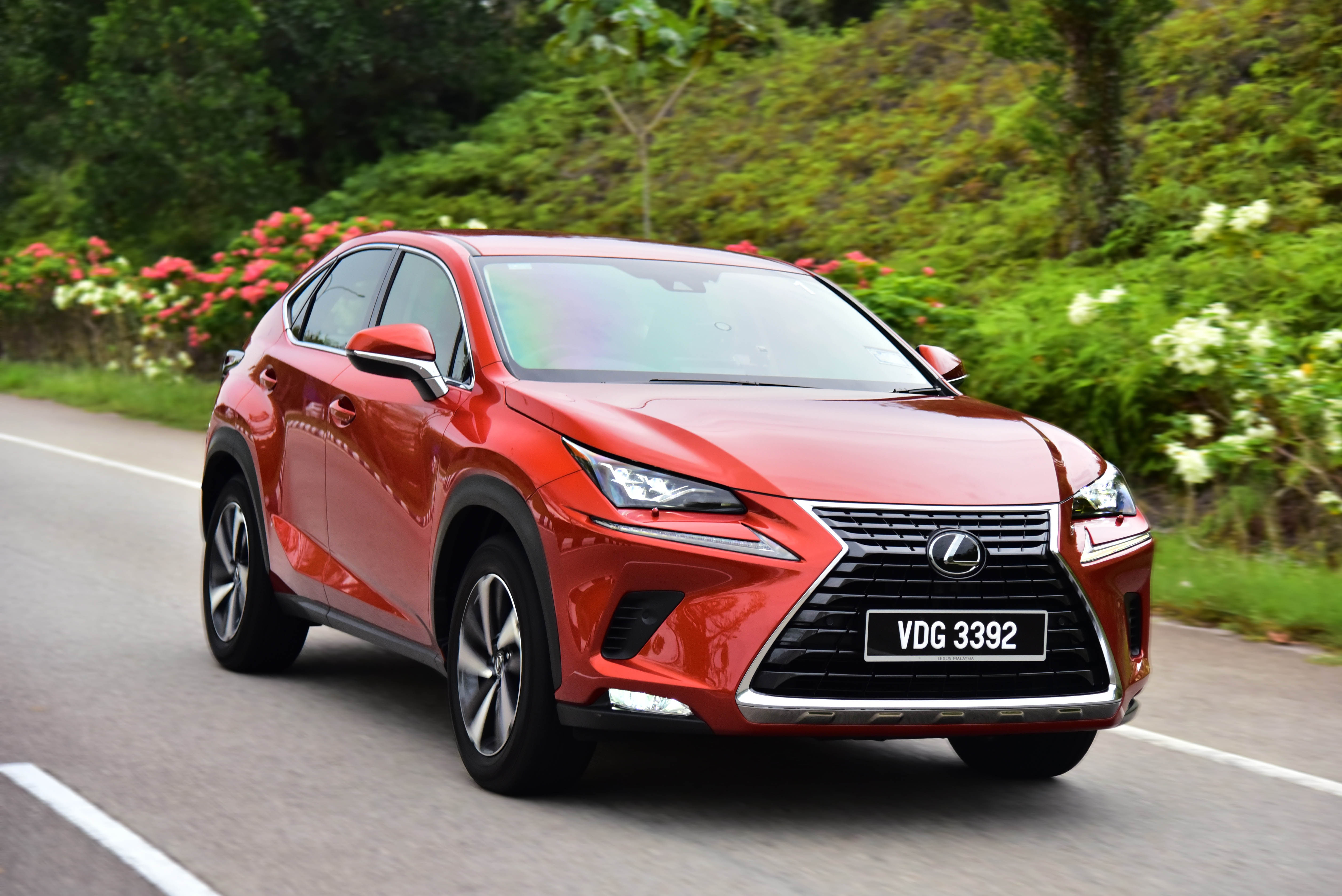 Lexus nx300 2019